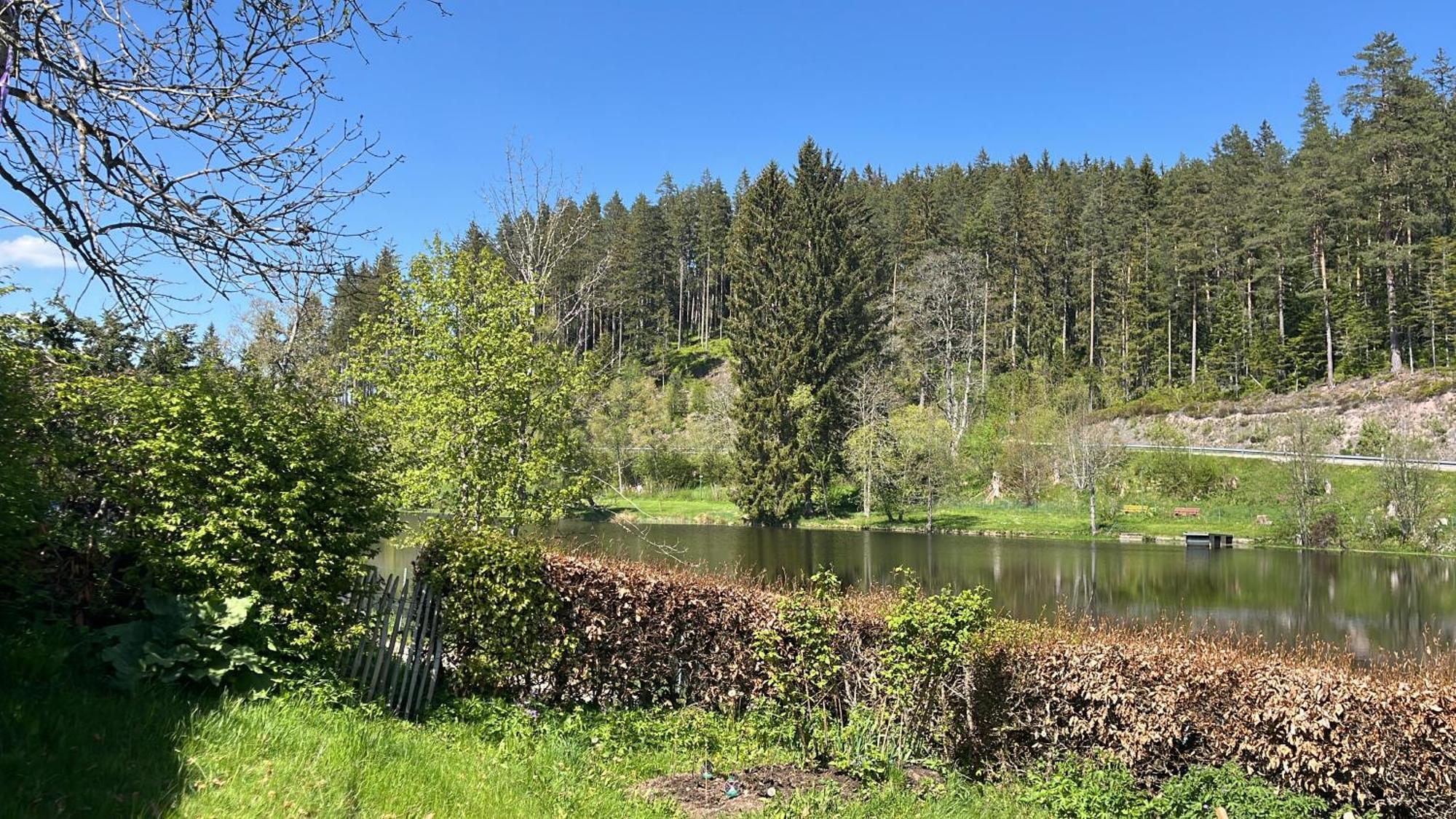 Haus Am See - Natur Pur Friedenweiler Exterior photo