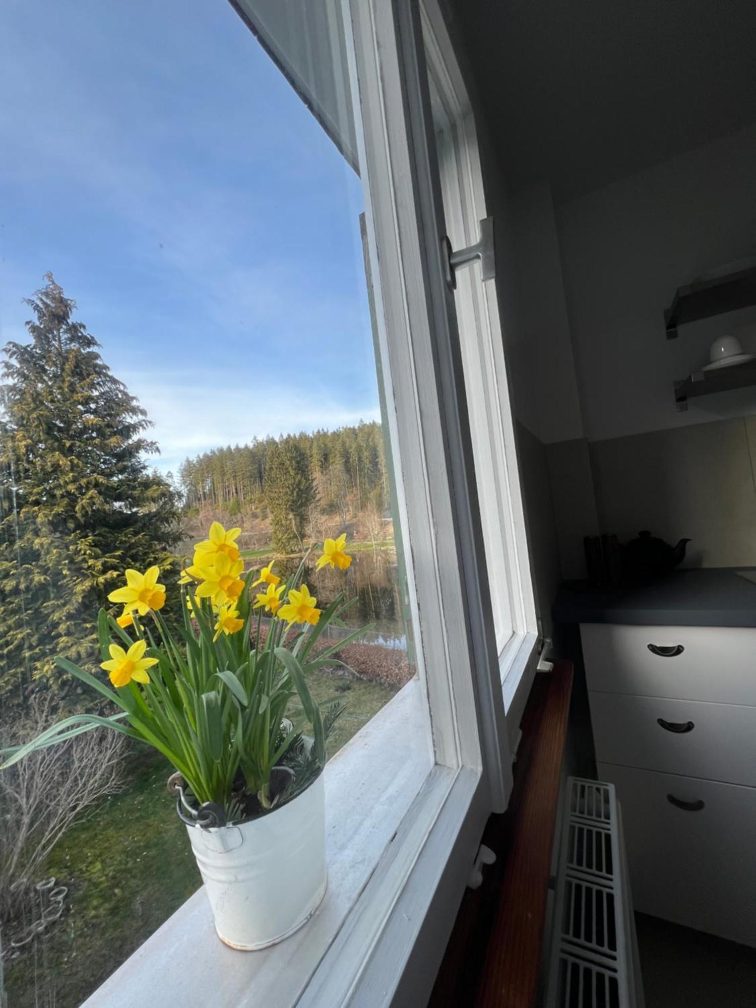 Haus Am See - Natur Pur Friedenweiler Exterior photo